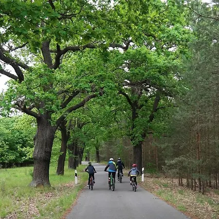 Seenland Апартаменты *