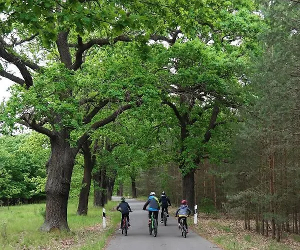 Seenland Appartement *